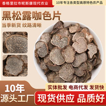 云南黑松露干咖色片野生菌猪拱菌黑松露块菌干货精选新货批发代发