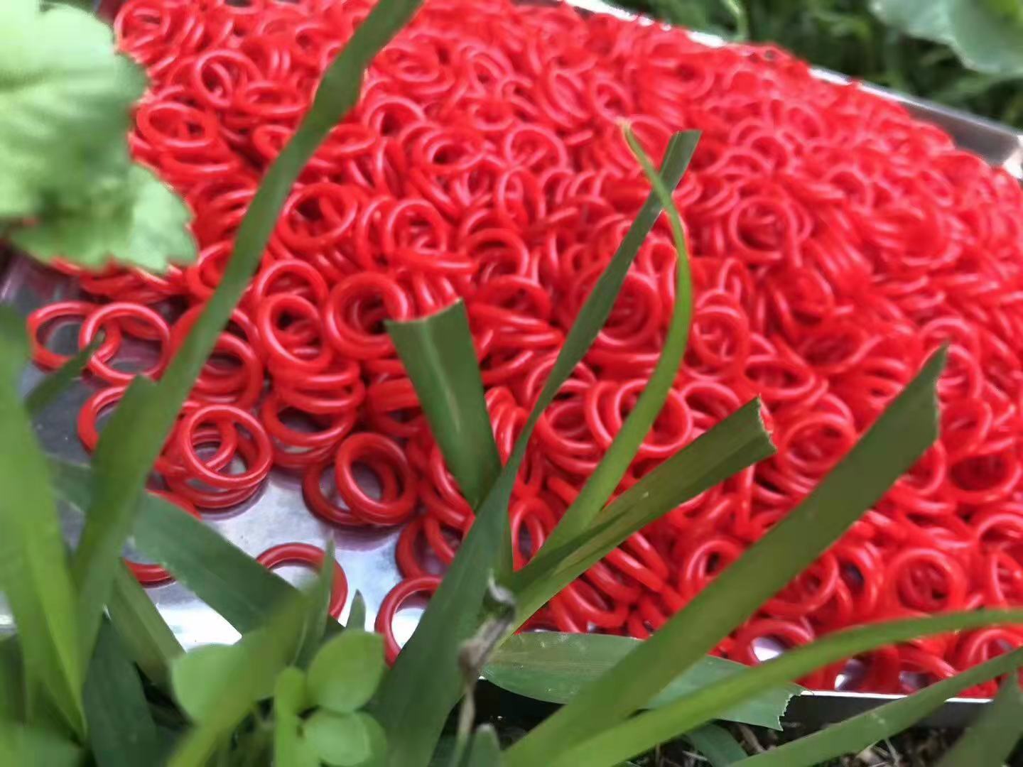 密封圈  油封圈  密封圈  聚氨酯密封圈 橡胶密封圈 硅胶密封圈