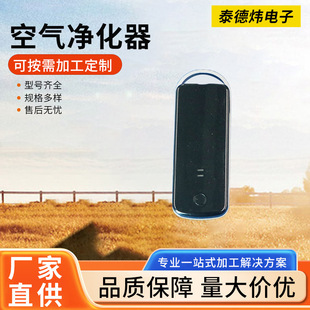 Mini Air Purifier Customized Portable Negative Ion Generator Small Air Oxygen Bar Household Purifier