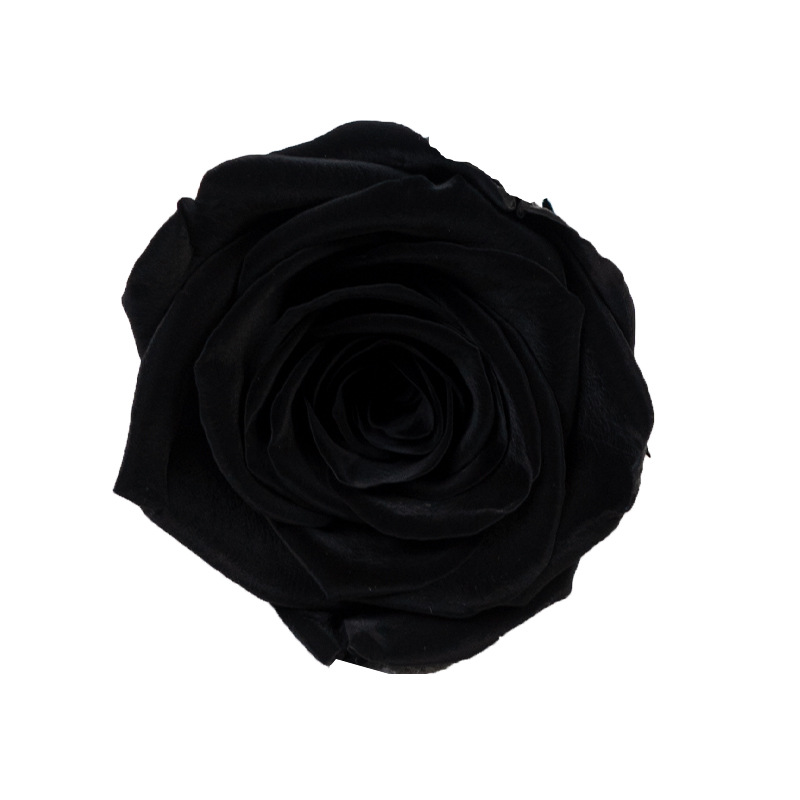 4-5cm 8 Flores, grado B DIY flores eternas, rosas eternas, Yunnan Kunming al por mayor, flores preservadas