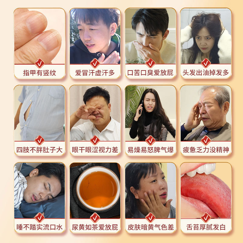 芙順堂李時珍葛根霊芝肝臓保護シート公式旗艦店カプセル養肝肝臓保護男性女史|undefined