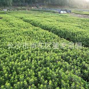 �Ԯa���N���N ���N ���̳���ɫ�K���NС�� ��ϵ���~ˮ�� ���l�r