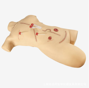 Surgical Suture and Bandage Display Model, Lv18
