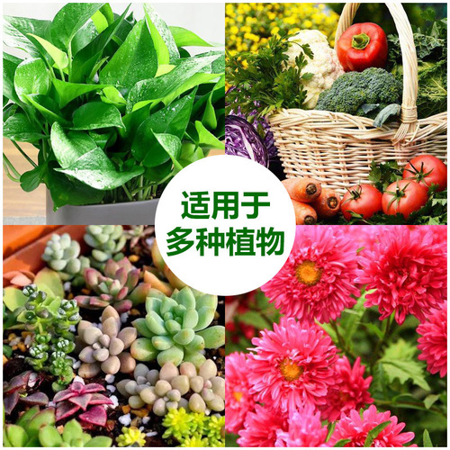 Gardening nutrient solution plant universal soil hydroponic potted flower green dill plant rich bamboo fortune liquid flower fertilizer