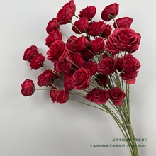 ��c���ٻ���t�Ƽtӆ����ʽ��Y�b廨��·���Ż���픻�ˇ