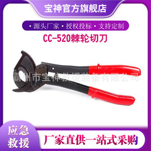 |քӔྀQCC-520ܛ|݆~Xzb|Д༬݆е