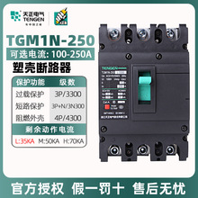 늚⚤ʽ·TGM1N-250L/33003P/4P՚_P