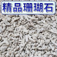 珊瑚石海鲜池过滤材料珊瑚骨优质培菌净化水质水族鱼池鱼缸