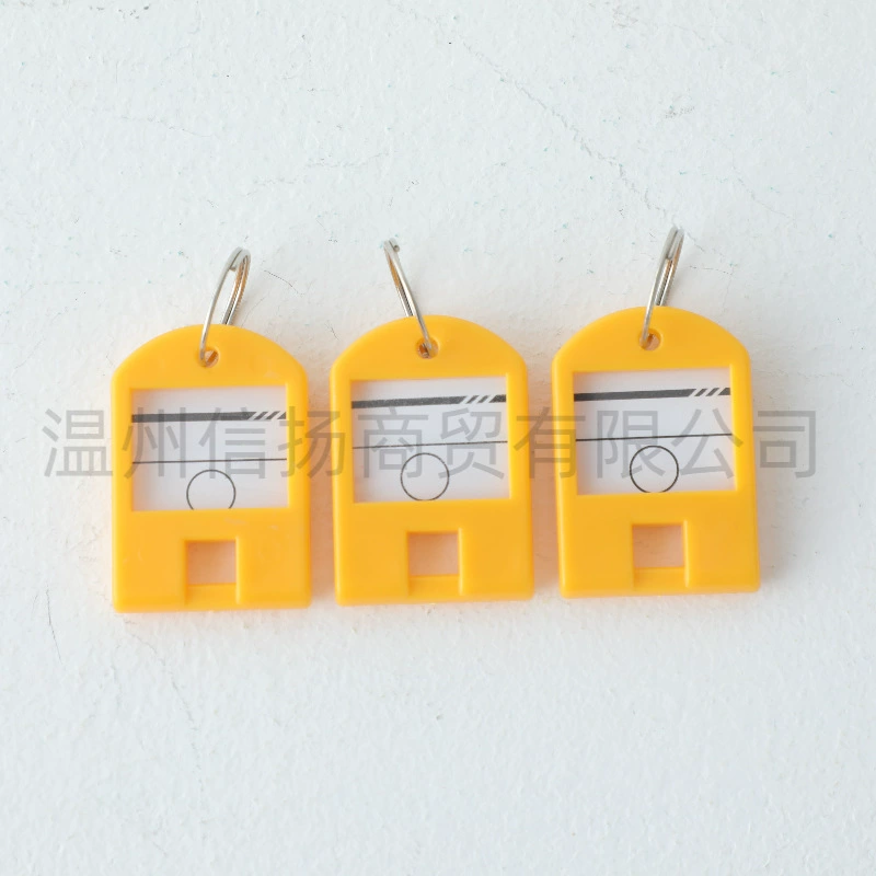 Plastic removable keychain for keys for office