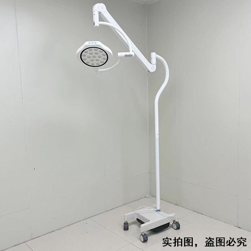 LED300(移动式)
