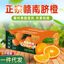 赣州供应新鲜橙子果园薄皮批发整箱赣南脐橙超市直供应季江西无