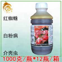 ʯτ ˮ @\ 辰׷۲1000ml