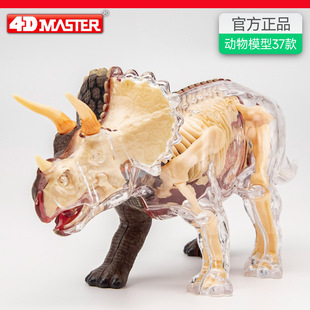 4D MASTER����ģ���t�W�̌W�������ʹ�������ƴ�bdiy�[��