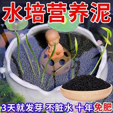 ��ɏ��Qˮ������ˮ����߷�������ˮ����ˮ˯ɏˮ��ֲ��I�B��