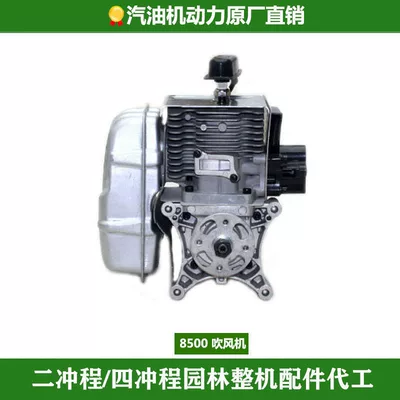 Gasoline Engine Oil: Parts, Cylinder Block Assembly, Cylinder - eb8500-stand-alone