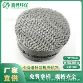 不锈钢BX700 BX500 BX450 丝网波纹填料 高效丝网波 金属规整填料