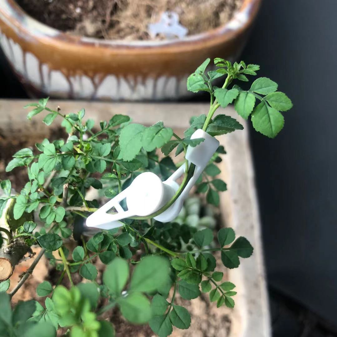 360 ángulo ajustable planta tubo Bender grado planta Bender entrenamiento ligero crecimiento vegetal hebilla