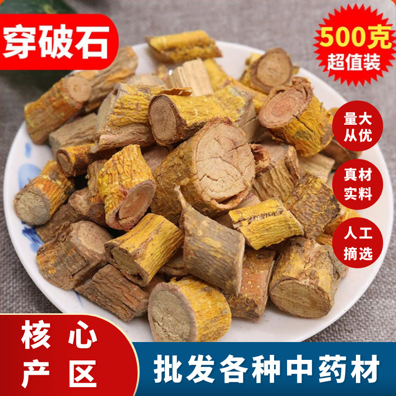 Cistanche Deserticola (Chuanpo Shi), a Chinese Medicinal Herb, 500g. the Root of Cistanche Deserticola, Also Known as the Root of the Nine-Layer Skin Stone Tree, Is Edible and Medicinal Cistanche Deserticola (Chuanpo Shi), a Chinese Medicinal Herb, 500g. the Root of Cistanche Deserticola, Also Known as the Root of the Nine-Layer Skin Stone Tree, Is Edible and Medicinal