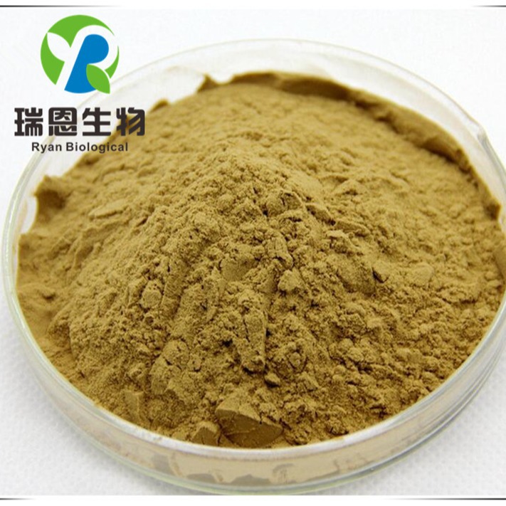 川楝子提取物10倍浓缩提取苦楝川楝粉植物萃取 现货厂家