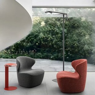Modern Minimalist Internet-Famous Sofa Chair for Office and Living Room, Leisure Single Sofa Chair with Creative and Stylish Reception Sofa Design
