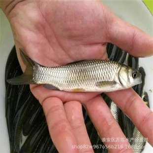 ���l���~�� ����������l�ݻ�����