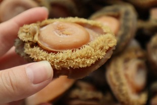 ���a���Ϸ��U�~�Ϸ��U�~ ���l�Ϸ��U�~���ϷǸ��U �Ƶꌣ���Ϸ��U