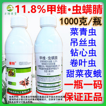 ����11.8%�׾S�x�\�����������x������z�x�׾S�}�x�\�����x��