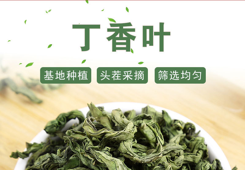 Changbai Mountain Clove Leaf Tea (Syzygium aromaticum) — Loose Leaf Herbal Tea, 500g quality and texture
