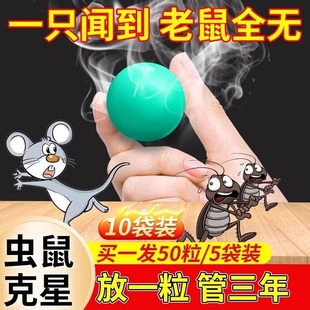 �����������x�������x������ș�l�әCœ���ȥ������