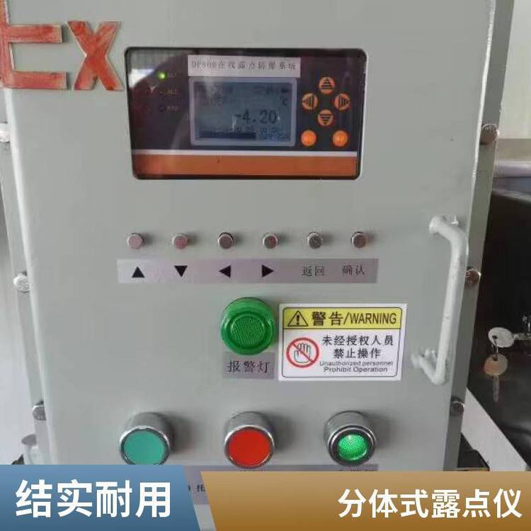 德国进口便携式压缩空气露点仪 功能齐全 可快速测量