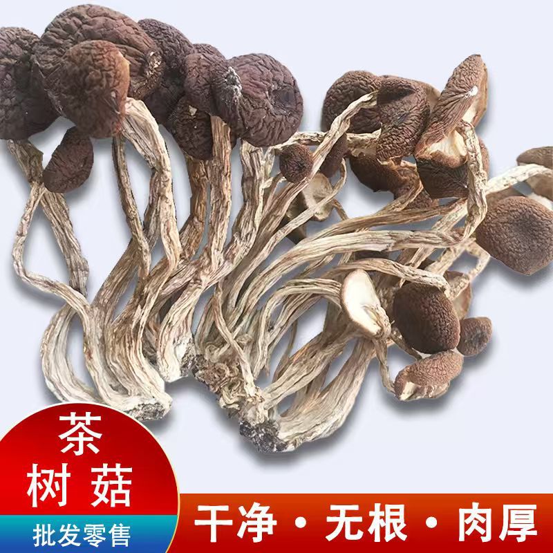 江西特色茶树菇干货无硫不开伞菌菇食用菌煲汤食材250克干茶树菇