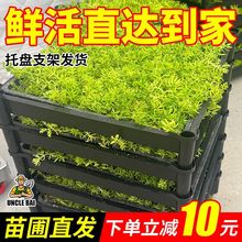 ��ײ��ļ������ͺ��ͺ�����ֲ���ײ��������R������r�@�־���