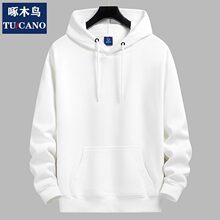 ��ľ�B�ӽq�l����H���¼�ɫ�ȴ��ﶬ�����ƌ������e�W��ñ�����