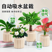 lؔԾG}jֲdӻGֲk҃ȶˮB