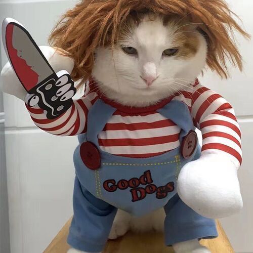 Fatal doll pet funny spoof dog with knife clothes cat dog funny creative cat with knife creative