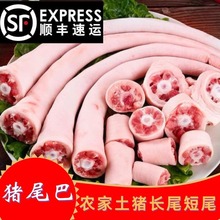 顺丰新鲜猪尾巴10斤长尾巴散养短尾巴整根农家散养土猪肉带皮