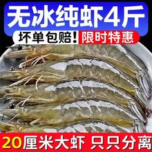 �������r�����rҰ�����r�r�����rˮ�a���r���r���r�����r���r