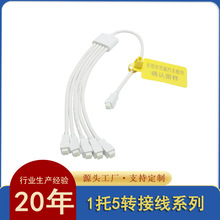 廠家供應一拖五轉接線莫仕Molex系列中接注塑耐寒防水插頭線電線