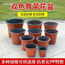 �pɫ����Nֲ������I�B������һ���ԼӺ�@ˇ�Gֲ�����������