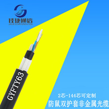 GYFTY63防鼠电力双护套非金属光缆4芯8芯12芯24芯48芯铠装光纤线