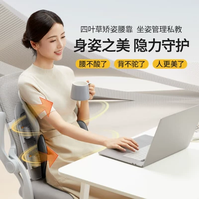 Lumbar Support Office Cushion Back: Waist support