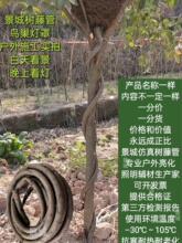 ������ٴ������@�����ܛ�������b��ٹ�늾���|�o�׹�