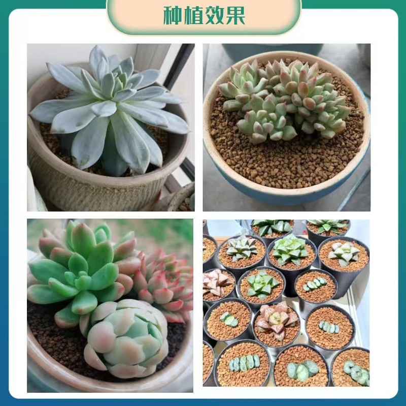卸売赤玉土多肉植物栄養土質陶器舗装硬質粒子培地医療石赤玉土|undefined