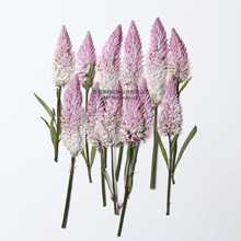 �Pβ�ݾW�t�ɻ�ֲ��˱�����Ѻ��Dried flower�滨���~�N�����l