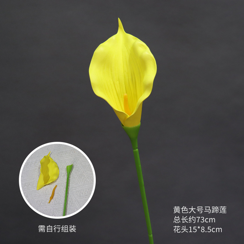 노란색의 큰 칼라 백합 가지