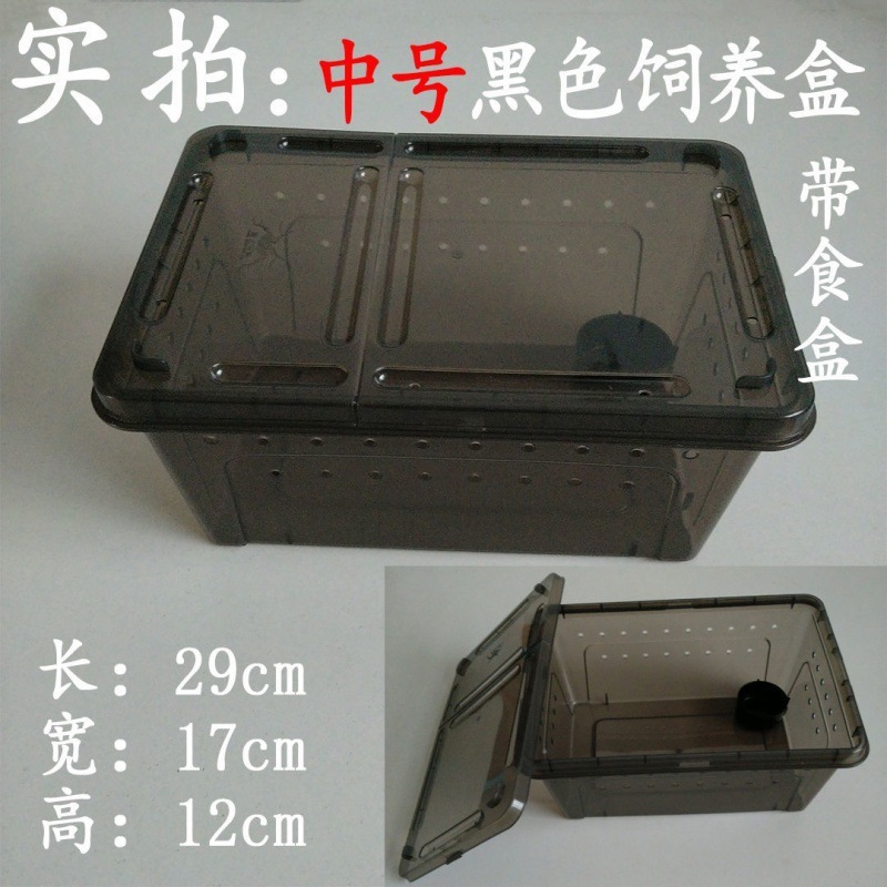 爬虫類、白翡翠カタツムリ、ホーンカエル、クモ、カマキリ、ヤドカリ、昆虫、特大、中型、小型、ミニ高透明飼育箱|undefined