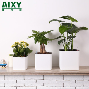 Lazy Flower Pot Automatic Absorbent Green Pot Water Storage Flower Pot Indoor Creative Thickened Plastic Non-watering Square Pot