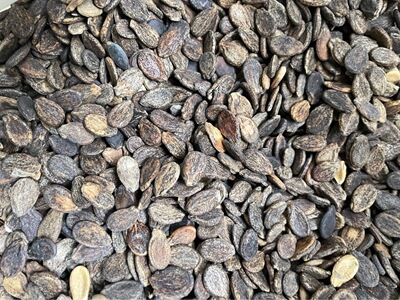 西瓜籽 烘焙原料 西瓜子 一件代发500克|ru