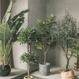 仿真绿植琴叶榕大型北欧盆栽尤加利树室内客厅落地旅人蕉仿生植物