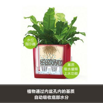 Suministro directo de fábrica automática de absorción de agua maceta extra grande pintura cuadrada sala de estar planta verde automática de absorción de agua maceta al por mayor